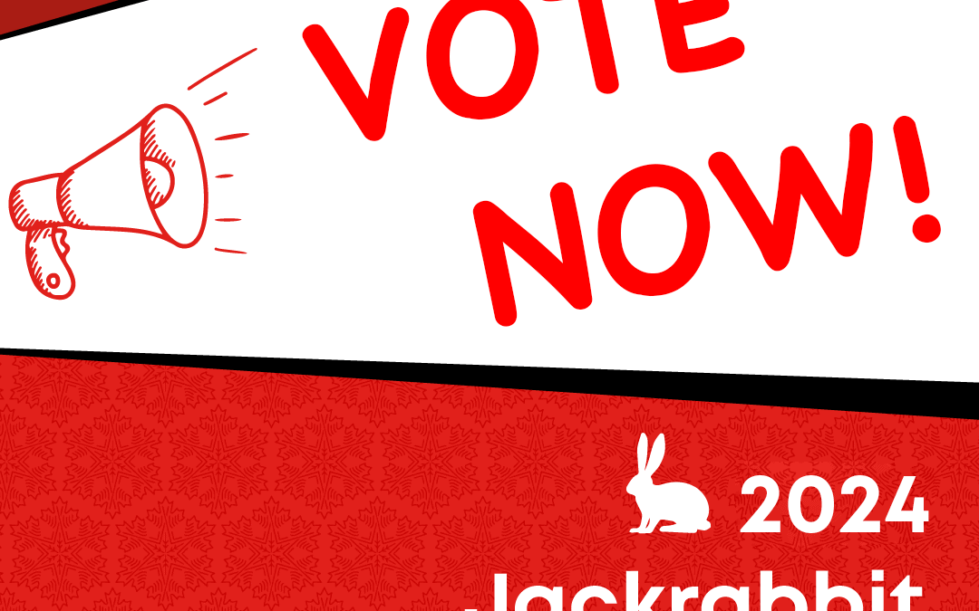 Jackrabbit Toque Contest